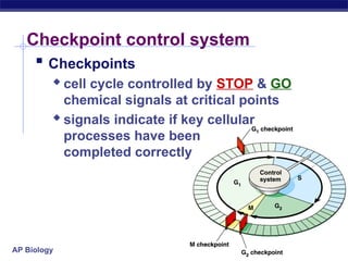 Cell Stop Functioning Representation Regulation of cell division in human beings - mitosis | PPT