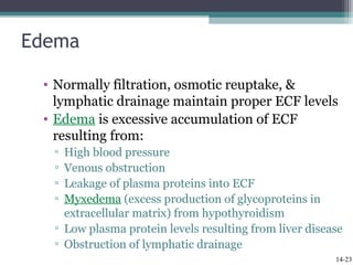 Cardiac output, blood flow, and blood pressure | PPT