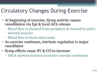 Cardiac output, blood flow, and blood pressure | PPT