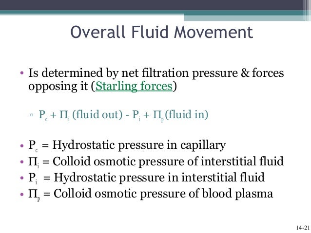 Cardiac output, blood flow, and blood pressure
