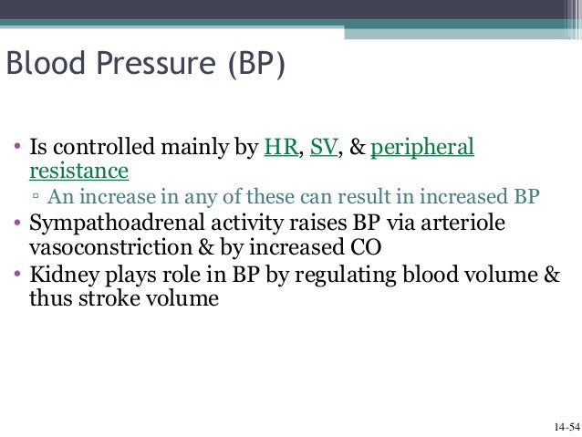 Cardiac Output Blood Flow And Blood Pressure