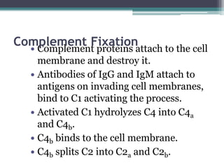 The immune system | PPTX