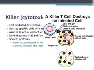 The immune system | PPTX
