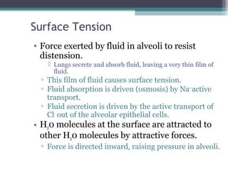 Surface Tension
• Force exerted by fluid in alveoli to resist
distension.
 Lungs secrete and absorb fluid, leaving a very thin film of
fluid.
▫ This film of fluid causes surface tension.
▫ Fluid absorption is driven (osmosis) by Na+
active
transport.
▫ Fluid secretion is driven by the active transport of
Cl-
out of the alveolar epithelial cells.
• H20 molecules at the surface are attracted to
other H20 molecules by attractive forces.
▫ Force is directed inward, raising pressure in alveoli.
 