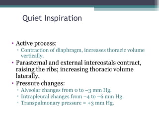 Quiet Inspiration
• Active process:
▫ Contraction of diaphragm, increases thoracic volume
vertically.
• Parasternal and external intercostals contract,
raising the ribs; increasing thoracic volume
laterally.
• Pressure changes:
▫ Alveolar changes from 0 to –3 mm Hg.
▫ Intrapleural changes from –4 to –6 mm Hg.
▫ Transpulmonary pressure = +3 mm Hg.
 