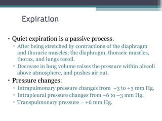 Expiration
• Quiet expiration is a passive process.
▫ After being stretched by contractions of the diaphragm
and thoracic muscles; the diaphragm, thoracic muscles,
thorax, and lungs recoil.
▫ Decrease in lung volume raises the pressure within alveoli
above atmosphere, and pushes air out.
• Pressure changes:
▫ Intrapulmonary pressure changes from –3 to +3 mm Hg.
▫ Intrapleural pressure changes from –6 to –3 mm Hg.
▫ Transpulmonary pressure = +6 mm Hg.
 