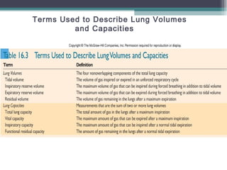 Terms Used to Describe Lung Volumes
and Capacities
 