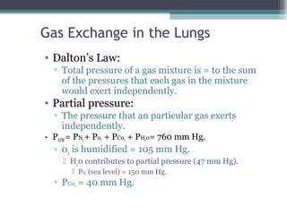 Gas Exchange in the Lungs
• Dalton’s Law:
▫ Total pressure of a gas mixture is = to the sum
of the pressures that each gas in the mixture
would exert independently.
• Partial pressure:
▫ The pressure that an particular gas exerts
independently.
• PATM= PN2 + P02 + PC02 + PH20= 760 mm Hg.
▫ 02 is humidified = 105 mm Hg.
 H20 contributes to partial pressure (47 mm Hg).
 P02 (sea level) = 150 mm Hg.
▫ PC02 = 40 mm Hg.
 