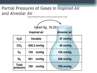 Partial Pressures of Gases in Inspired Air
and Alveolar Air
Insert fig. 16.20
 