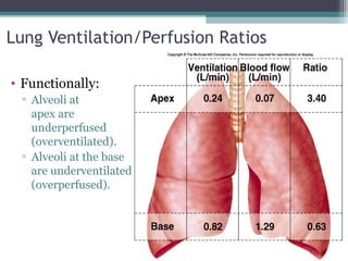 Lung Ventilation/Perfusion Ratios
• Functionally:
▫ Alveoli at
apex are
underperfused
(overventilated).
▫ Alveoli at the base
are underventilated
(overperfused).
Insert fig. 16.24
 