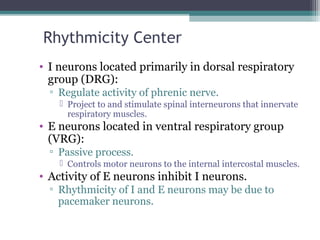 Rhythmicity Center
• I neurons located primarily in dorsal respiratory
group (DRG):
▫ Regulate activity of phrenic nerve.
 Project to and stimulate spinal interneurons that innervate
respiratory muscles.
• E neurons located in ventral respiratory group
(VRG):
▫ Passive process.
 Controls motor neurons to the internal intercostal muscles.
• Activity of E neurons inhibit I neurons.
▫ Rhythmicity of I and E neurons may be due to
pacemaker neurons.
 