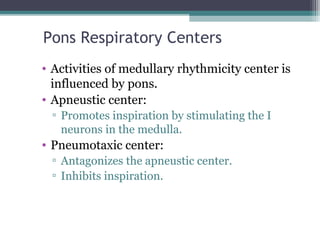 Pons Respiratory Centers
• Activities of medullary rhythmicity center is
influenced by pons.
• Apneustic center:
▫ Promotes inspiration by stimulating the I
neurons in the medulla.
• Pneumotaxic center:
▫ Antagonizes the apneustic center.
▫ Inhibits inspiration.
 