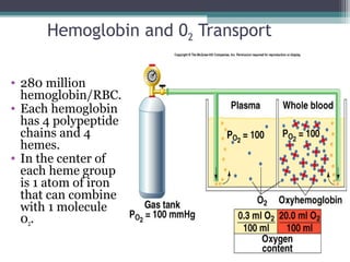 Hemoglobin and 02 Transport
• 280 million
hemoglobin/RBC.
• Each hemoglobin
has 4 polypeptide
chains and 4
hemes.
• In the center of
each heme group
is 1 atom of iron
that can combine
with 1 molecule
02.
Insert fig. 16.32
 