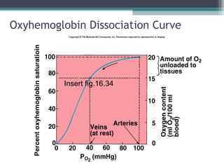 Oxyhemoglobin Dissociation Curve
Insert fig.16.34
 