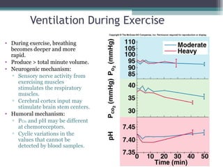 Ventilation During Exercise
• During exercise, breathing
becomes deeper and more
rapid.
• Produce > total minute volume.
• Neurogenic mechanism:
▫ Sensory nerve activity from
exercising muscles
stimulates the respiratory
muscles.
▫ Cerebral cortex input may
stimulate brain stem centers.
• Humoral mechanism:
▫ PC02 and pH may be different
at chemoreceptors.
▫ Cyclic variations in the
values that cannot be
detected by blood samples.
Insert fig. 16.41
 