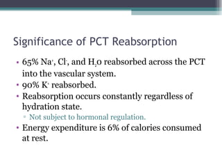 Physiology of the kidneys | PPT