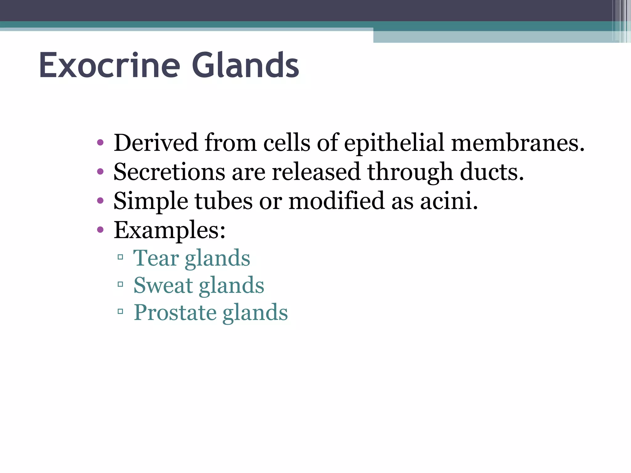 Exocrine Glands
• Derived from cells of epithelial membranes.
• Secretions are released through ducts.
• Simple tubes or modified as acini.
• Examples:
▫ Tear glands
▫ Sweat glands
▫ Prostate glands
 