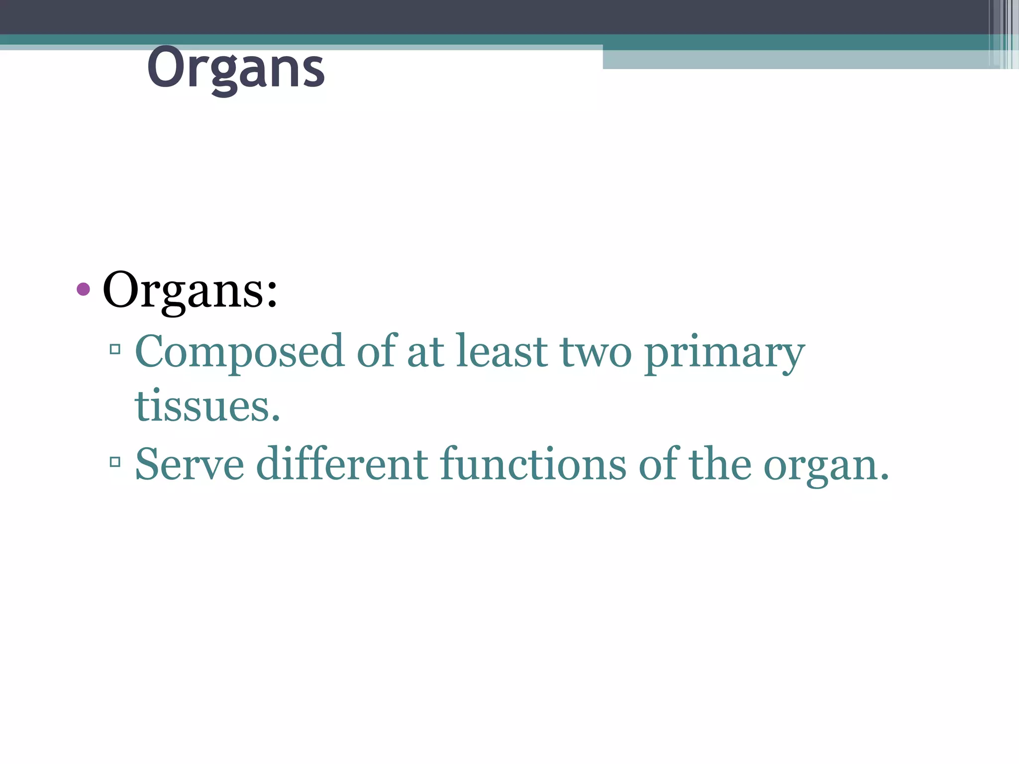 Organs
• Organs:
▫ Composed of at least two primary
tissues.
▫ Serve different functions of the organ.
 