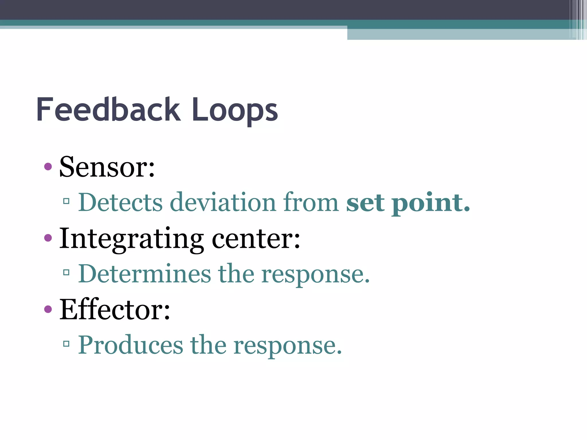 Feedback Loops
• Sensor:
▫ Detects deviation from set point.
• Integrating center:
▫ Determines the response.
• Effector:
▫ Produces the response.
 
