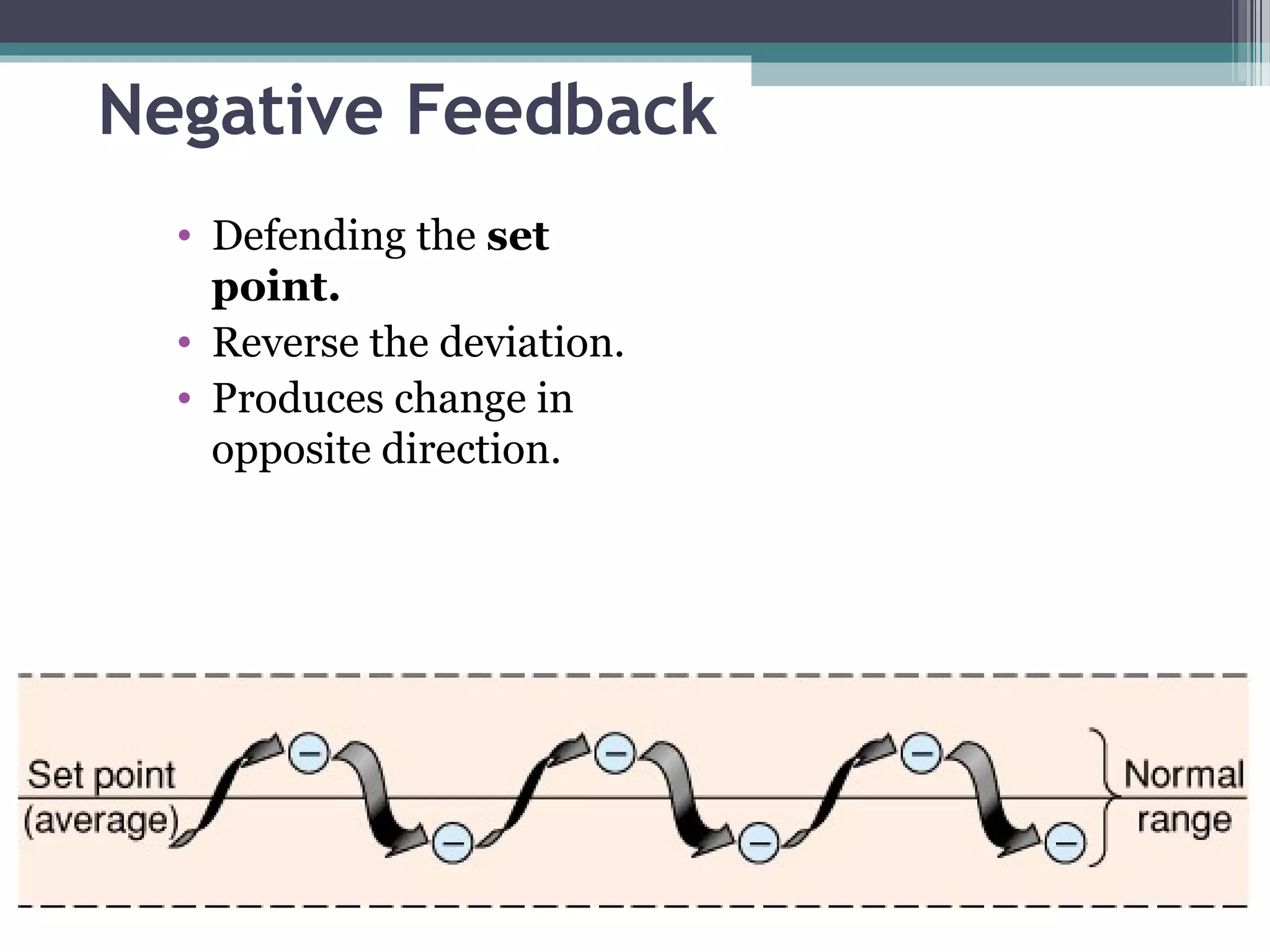 Negative Feedback
• Defending the set
point.
• Reverse the deviation.
• Produces change in
opposite direction.
 