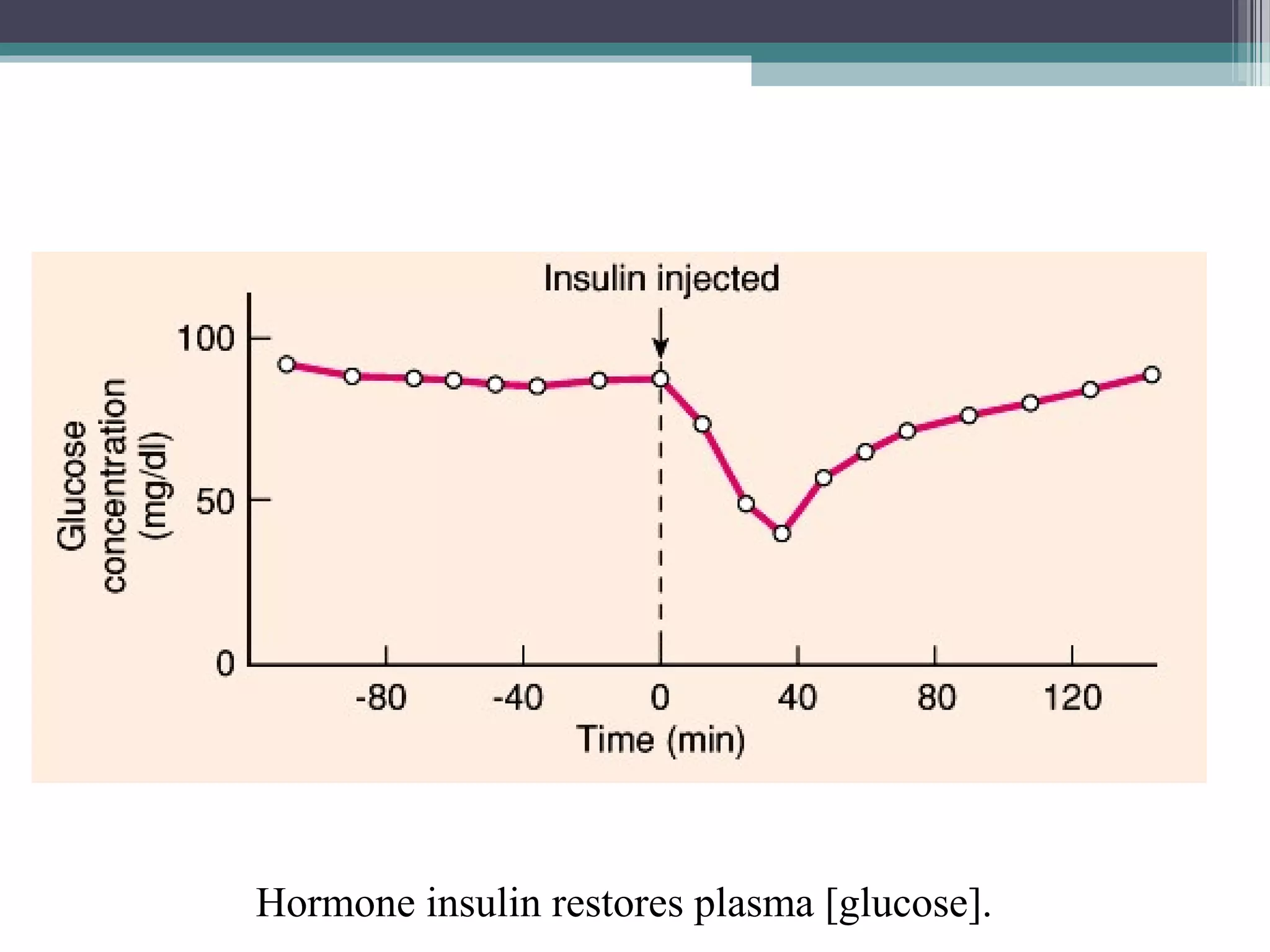 Hormone insulin restores plasma [glucose].
 