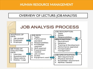 Comprehensive Job Analysis Job analysis and talent management process.ppt