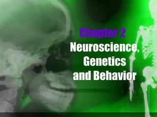 Chapter 2   Neuroscience, Genetics and Behavior 