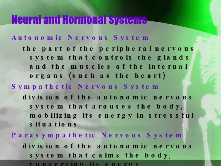 Chp2 Neuroscience