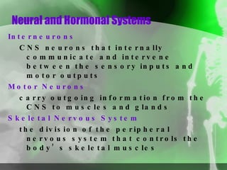 Neural and Hormonal Systems Interneurons  CNS neurons that internally communicate and intervene between the sensory inputs and motor outputs Motor Neurons carry outgoing information from the CNS to muscles and glands Skeletal Nervous System the division of the peripheral nervous system that controls the body’s skeletal muscles 