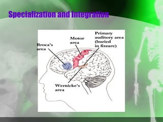 Specialization and Integration 