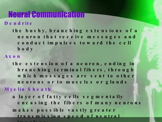 Neural Communication Dendrite the bushy, branching extensions of a neuron that receive messages and conduct impulses toward the cell body Axon the extension of a neuron, ending in branching terminal fibers, through which messages are sent to other neurons or to muscles or glands Myelin Sheath   a layer of fatty cells segmentally encasing the fibers of many neurons makes possible vastly greater transmission speed of neutral impulses 