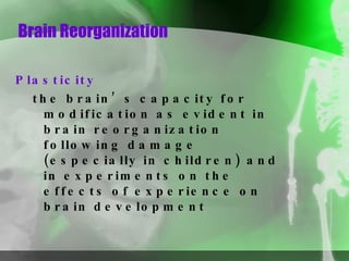Brain Reorganization Plasticity the brain’s capacity for modification as evident in brain reorganization following damage (especially in children) and in experiments on the effects of experience on brain development 