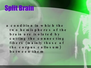 Split Brain a condition in which the two hemispheres of the brain are isolated by cutting the connecting fibers (mainly those of the corpus callosum) between them 