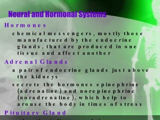 Neural and Hormonal Systems Hormones chemical messengers, mostly those manufactured by the endocrine glands, that are produced in one tissue and affect another Adrenal Glands   a pair of endocrine glands just above the kidneys secrete the hormones epinephrine (adrenaline) and norepinephrine (noradrenaline), which help to arouse the body in times of stress Pituitary Gland under the influence of the hypothalamus, the pituitary regulates growth and controls other endocrine glands 
