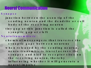 Neural Communication Synapse junction between the axon tip of the sending neuron and the dendrite or cell body of the receiving neuron tiny gap at this junction is called the synaptic gap or cleft Neurotransmitters chemical messengers that traverse the synaptic gaps between neurons when released by the sending neuron, neuro-transmitters travel across the synapse and bind to receptor sites on the receiving neuron, thereby influencing whether it will generate a neural impulse 