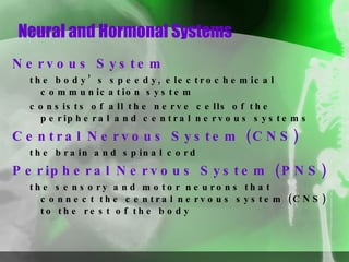 Neural and Hormonal Systems Nervous System   the body’s speedy, electrochemical communication system  consists of all the nerve cells of the peripheral and central nervous systems Central Nervous System (CNS)   the brain and spinal cord Peripheral Nervous System (PNS)   the sensory and motor neurons that connect the central nervous system (CNS) to the rest of the body 