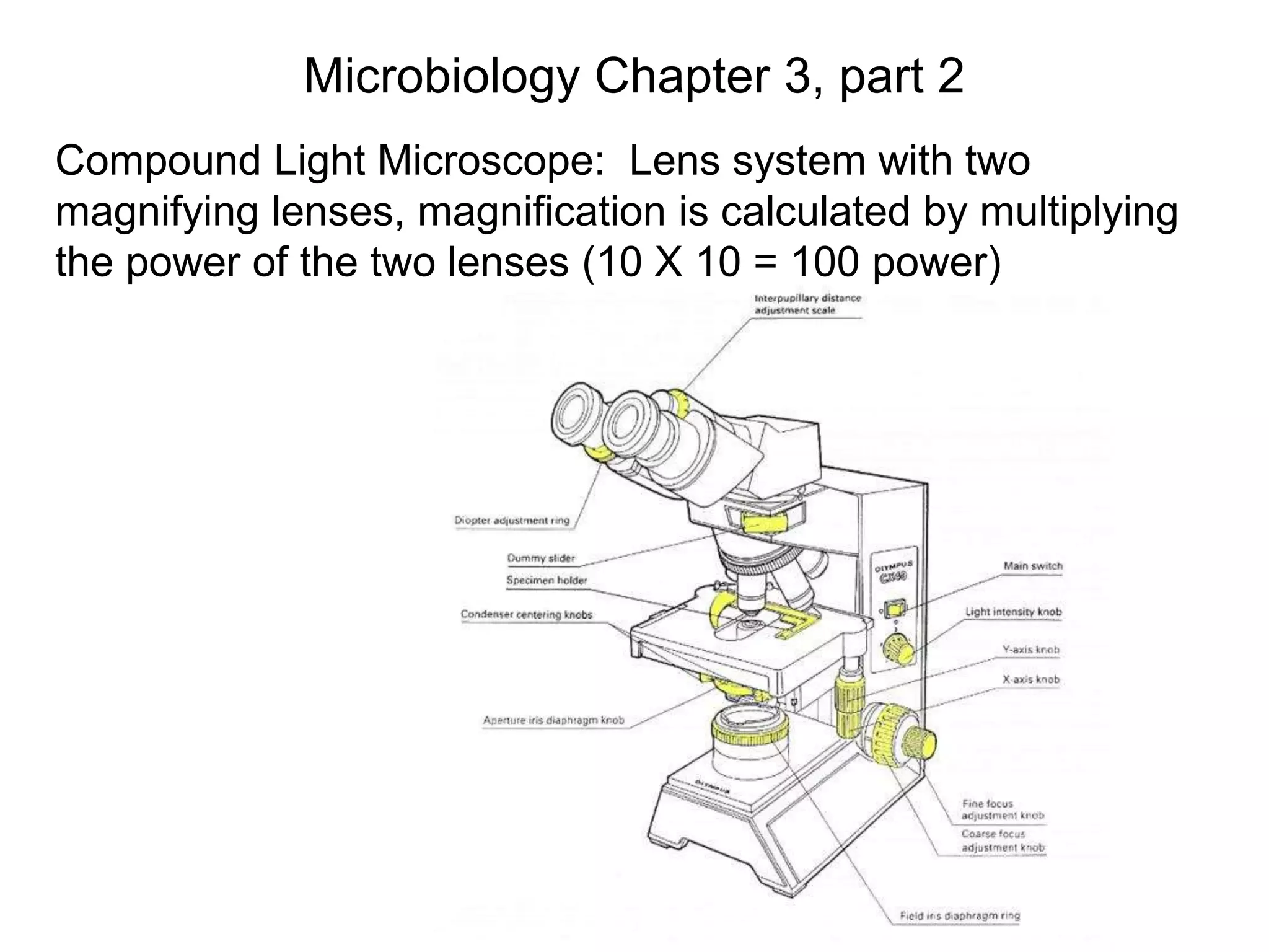 microbiology | PPT