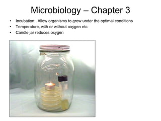 Microbiology – Chapter 3
• Incubation: Allow organisms to grow under the optimal conditions
• Temperature, with or without oxygen etc
• Candle jar reduces oxygen
 