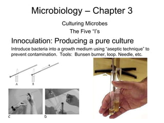 Microbiology – Chapter 3
Culturing Microbes
The Five “I’s
Innoculation: Producing a pure culture
Introduce bacteria into a growth medium using “aseptic technique” to
prevent contamination. Tools: Bunsen burner, loop. Needle, etc.
 