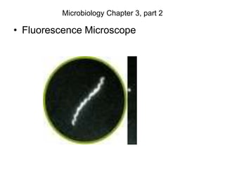 Microbiology Chapter 3, part 2
• Fluorescence Microscope
 
