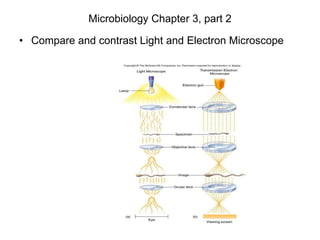 Microbiology Chapter 3, part 2
• Compare and contrast Light and Electron Microscope
 