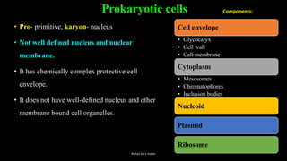 Prokaryotic cells
• Pro- primitive, karyon- nucleus
• Not well defined nucleus and nuclear
membrane.
• It has chemically complex protective cell
envelope.
• It does not have well-defined nucleus and other
membrane bound cell organelles.
Cell envelope
• Glycocalyx
• Cell wall
• Cell membrane
Cytoplasm
• Mesosomes
• Chromatophores
• Inclusion bodies
Nucleoid
Plasmid
Ribosome
Components:
Rahul Sir's notes
 