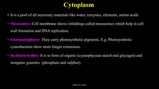 Cytoplasm
• It is a pool of all necessary materials like water, enzymes, elements, amino acids.
• Mesosomes: Cell membrane shows infoldings called mesosomes which help in cell
wall formation and DNA replication.
• Chromatophores: They carry photosynthetic pigments. E.g. Photosynthetic
cyanobacteria show more longer extensions.
• Inclusion bodies: It is in form of organic (cyanophycean starch and glycogen) and
inorganic granules (phosphate and sulphur).
Rahul Sir's notes
 
