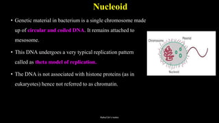 Nucleoid
• Genetic material in bacterium is a single chromosome made
up of circular and coiled DNA. It remains attached to
mesosome.
• This DNA undergoes a very typical replication pattern
called as theta model of replication.
• The DNA is not associated with histone proteins (as in
eukaryotes) hence not referred to as chromatin.
Rahul Sir's notes
 