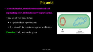 Plasmid
• A small,circular, extrachromosomal and self
replicating DNA molecules carrying few genes.
• They are of two basic types:
• F – plasmid for reproduction
• R – plasmid for resistance against antibiotics.
• Function: Help to transfer genes
Rahul Sir's notes
 
