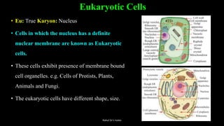 Eukaryotic Cells
• Eu: True Karyon: Nucleus
• Cells in which the nucleus has a definite
nuclear membrane are known as Eukaryotic
cells.
• These cells exhibit presence of membrane bound
cell organelles. e.g. Cells of Protists, Plants,
Animals and Fungi.
• The eukaryotic cells have different shape, size.
Rahul Sir's notes
 