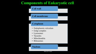 Components of Eukaryotic cell
Cell wall
Cell membrane
• Endoplasmic reticulum
• Golgi complex
• Lysosomes
• Vacuoles
• Mitochondria
• Ribosomes
Cytoplasm
Nucleus
Rahul Sir's notes
 