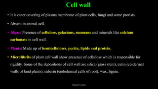 Cell wall
• It is outer covering of plasma membrane of plant cells, fungi and some protists.
• Absent in animal cell.
• Algae: Presence of cellulose, galactans, mannans and minerals like calcium
carbonate in cell wall.
• Plants: Made up of hemicelluloses, pectin, lipids and protein.
• Microfibrils of plant cell wall show presence of cellulose which is responsible for
rigidity. Some of the depositions of cell wall are silica (grass stem), cutin (epidermal
walls of land plants), suberin (endodermal cells of root), wax, lignin.
Rahul Sir's notes
 