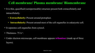 Cell membrane/ Plasma membrane/ Biomembrane
• It is thin, quasifluid (semipermeable) structure present both extracellularly and
intracellularly.
• Extracellularly: Present around protoplast.
• Intracellularly: Present around most of the cell organelles in eukaryotic cell.
• It separates cell organelles from cytosol.
• Thickness- 75 A o.
• Under electron microscope, cell membrane appears trilaminar (made up of three
layers).
Rahul Sir's notes
 