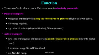 Function
• Transport of molecules across it. This membrane is selectively permeable.
• Passive transport:
• Molecules are transported along the concentration gradient (higher to lower conc.).
• No energy required.
• e.g. Neutral solutes (simple diffusion), Water (osmosis).
• Active transport:
• Few ions or molecules are transported against concentration gradient (lower to higher
conc.).
• It requires energy. So, ATP is utilized.
• e.g. Na+/K+ pump. Rahul Sir's notes
Rahul Sir's notes
 
